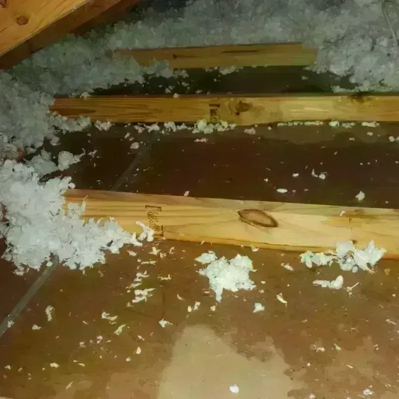 Attic Water Damage in Algonquin, IL