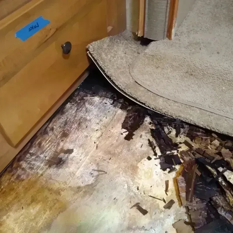 Wood Floor Water Damage in Algonquin, IL